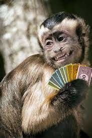 a monkey in betting terms.